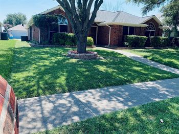 2520  Dandelion Lane 