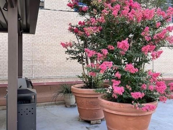 1505  Elm Street  603, Dallas Texas 75201