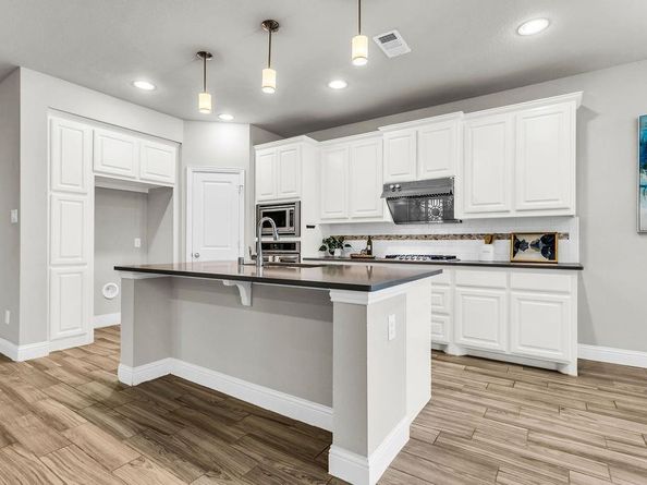 713  Parkland Drive , Aubrey Texas 76227