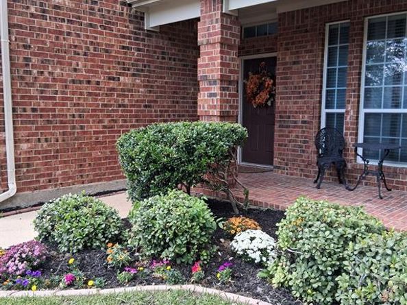 3172  Serpis  , Grand Prairie Texas 75054