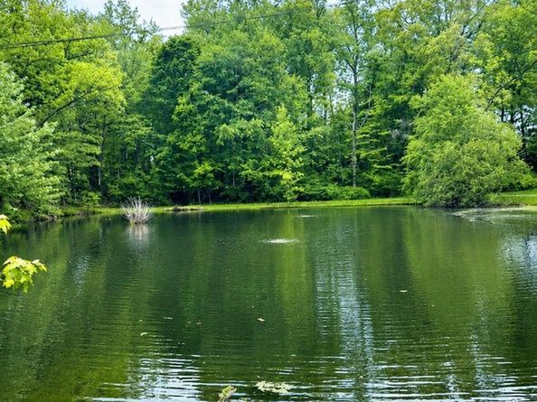 82 Shingle House Road, Millwood NY 10546
