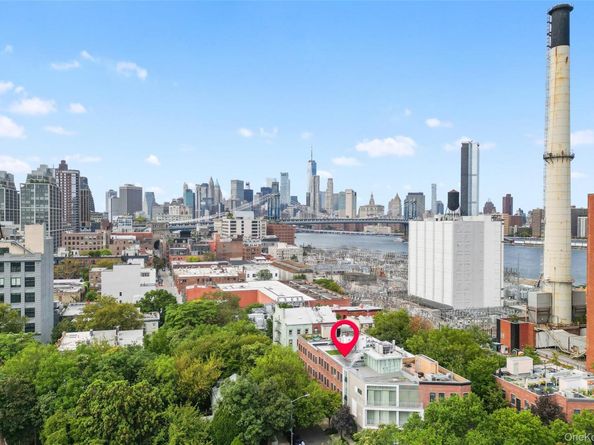 15 Evans Street, Brooklyn NY 11201