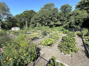 100 Diplomat Drive 8J, Mount Kisco NY 10549