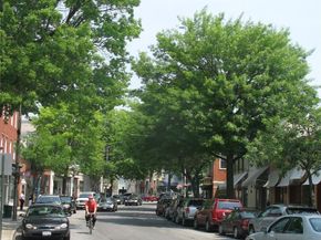 21 Thorne Place, Rye NY 10580