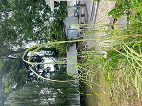 3068 Xavier Place, Oceanside NY 11572