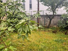 58-23 192nd Street, Fresh Meadows NY 11365