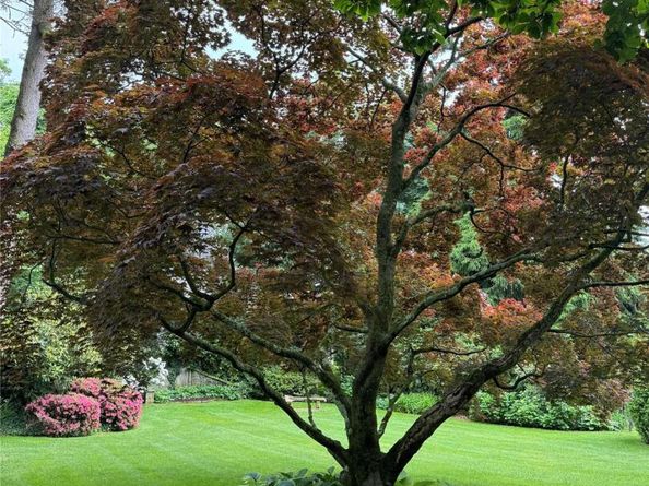 9 Oxford Road, White Plains NY 10605