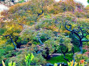 9 Oxford Road, White Plains NY 10605