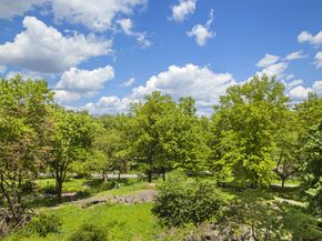 160 Central Park S 401, New York NY 10019