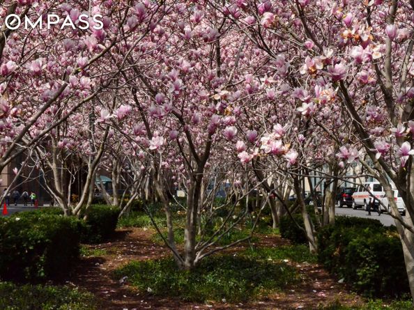 388 Bridge Street 37D, Brooklyn NY 11201