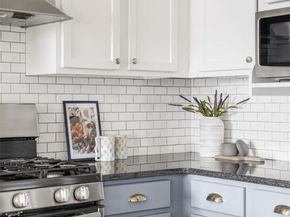 1313 S Clarkson Street 208, Denver CO 80210