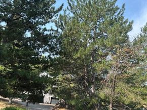 Undisclosed Address #5244270, Aurora CO 80012