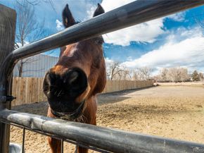 4695 Parfet Street, Wheat Ridge CO 80033