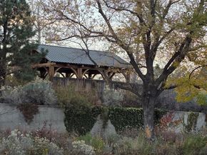 1365 Columbine Street 102, Denver CO 80206