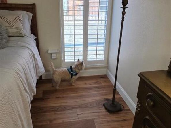 1365 Columbine Street 102, Denver CO 80206