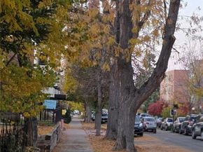 1365 Columbine Street 102, Denver CO 80206