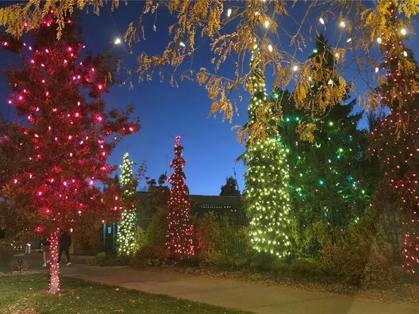 1365 Columbine Street 102, Denver CO 80206