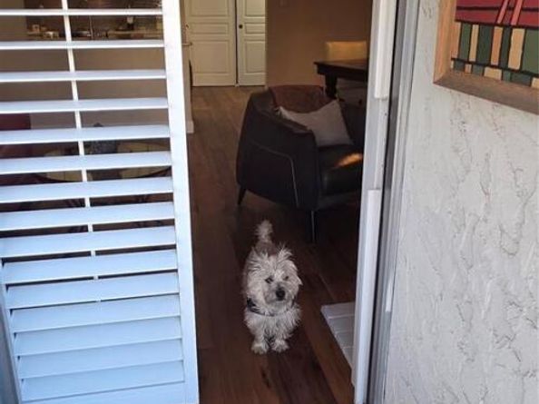 1365 Columbine Street 102, Denver CO 80206