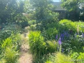 4047 Madison Street, Denver CO 80216