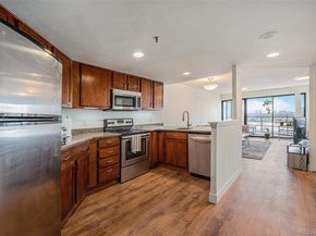 100 Park Avenue 1007, Denver CO 80205