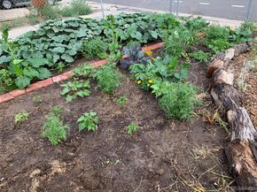 Undisclosed Address #6154213, Denver CO 80207