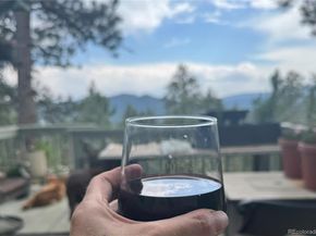 1624 Tamarac Drive, Golden CO 80401