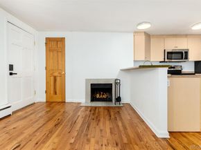 336 N Grant Street 303, Denver CO 80203