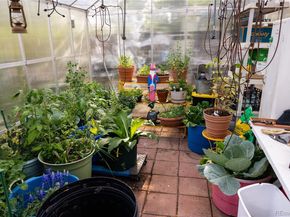 11861 Claude Way, Northglenn CO 80233