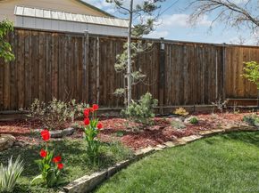 1164 W 101st Place, Northglenn CO 80260