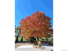 632 S Manorwood Lane, Louisville CO 80027