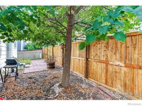 1131 S Chester Court, Denver CO 80247