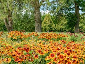 2240 S Irving Street, Denver CO 80219