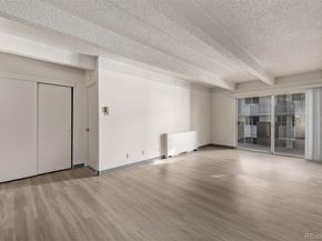 1265 Race Street 208, Denver CO 80206