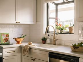 1152 S Columbine Street, Denver CO 80210