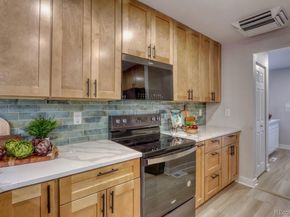 805 Perry Street, Denver CO 80204