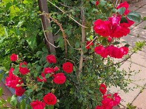 2730 W Mississippi Avenue 14, Denver CO 80219