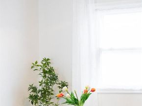 1164 Roslyn Street, Denver CO 80220