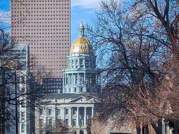 215 E 11th Avenue A5, Denver CO 80203