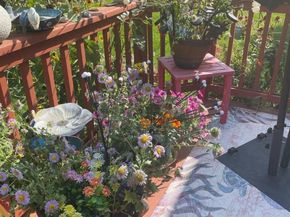 2126 S Espana Street, Aurora CO 80013