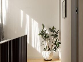 3837 N High Street, Denver CO 80205