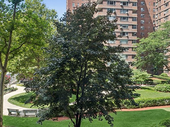 453 Fdr Drive C205, New York NY 10002