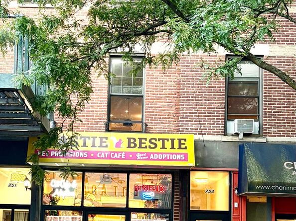751 Franklin Avenue, Brooklyn NY 11238