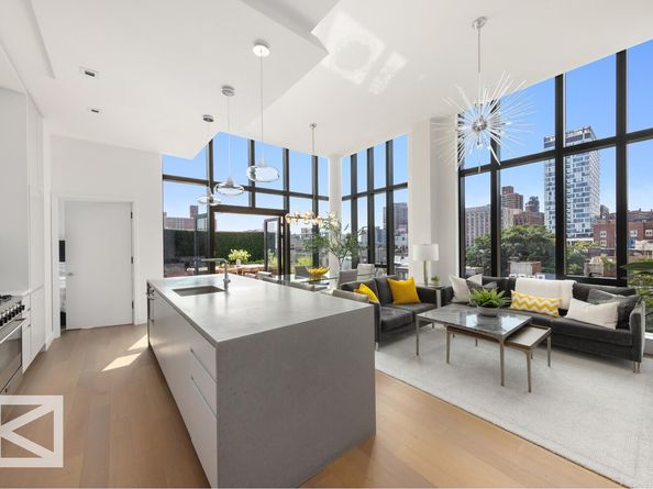 150 Rivington Street CPENTHOUSE, New York NY 10002