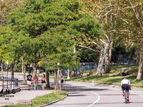 22-54 46th Street 703, Queens NY 11105