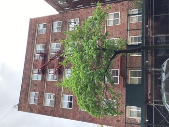 3176 Decatur Avenue
