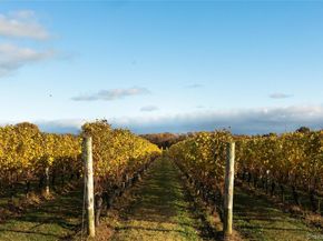 1995 Ruth Road, Mattituck NY 11952