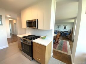 27110 Grand Central Parkway 18E, Floral Park NY 11005