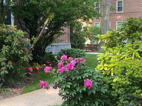 32 Cathedral Avenue 6C, Hempstead NY 11550