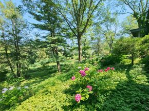 35 Saxon Woods Road, White Plains NY 10605