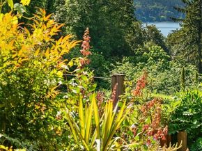 10801 SW 238th Street, Vashon WA 98070